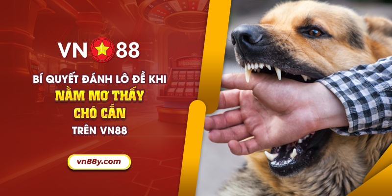 Bí quyết đánh lô đề khi nằm mơ thấy chó cắn trên VN88 5 67 bi quyet danh lo de khi nam mo thay cho can tren vn88