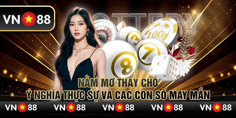 Nằm mơ thấy chó - Ý nghĩa thực sự và các con số may mắn 1 12 Nam mo thay cho Y nghia thuc su va cac con so may man