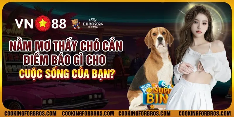Nằm mơ thấy chó cắn: Điềm báo gì cho cuộc sống của bạn? 1 Nằm mơ thấy chó cắn: Điềm báo gì cho cuộc sống của bạn?