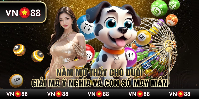 Nằm mơ thấy chó đuổi - Giải mã ý nghĩa và con số may mắn 1 Nằm mơ thấy chó đuổi - Giải mã ý nghĩa và con số may mắn